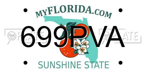 699PVA Florida License Plate