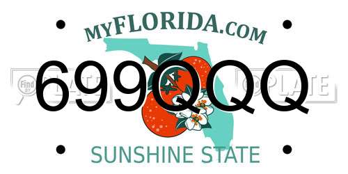 699QQQ Florida License Plate