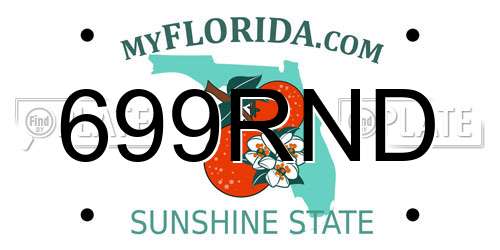 699RND Florida License Plate