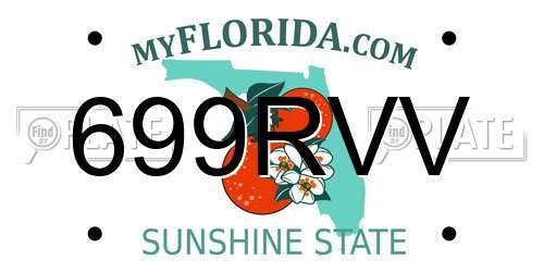 699RVV Florida License Plate