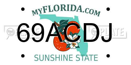 69ACDJ Florida License Plate