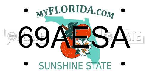 69AESA Florida License Plate
