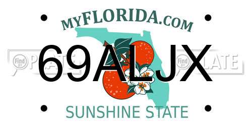 69ALJX Florida License Plate