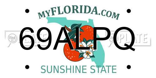 69ALPQ Florida License Plate