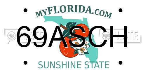 69ASCH Florida License Plate