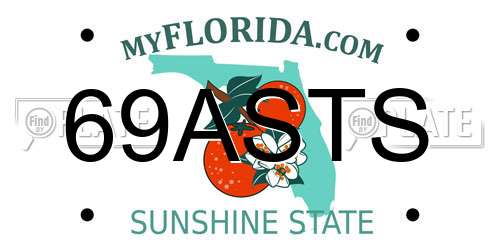 69ASTS Florida License Plate