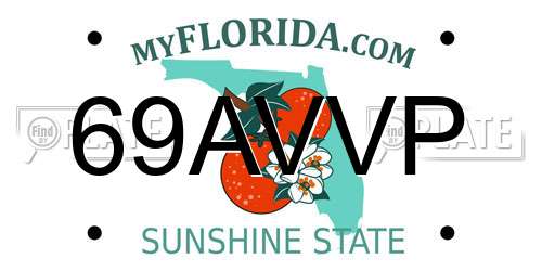 69AVVP Florida License Plate