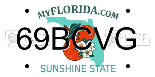 69BCVG Florida License Plate