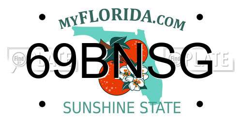69BNSG Florida License Plate