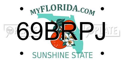 69BRPJ Florida License Plate