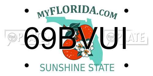 69BVUI Florida License Plate