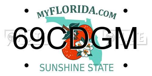 69CDGM Florida License Plate