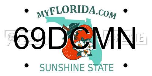 69DCMN Florida License Plate
