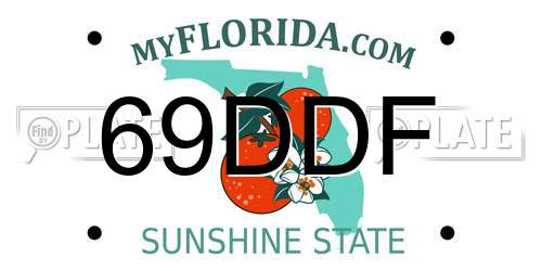 69DDF Florida License Plate