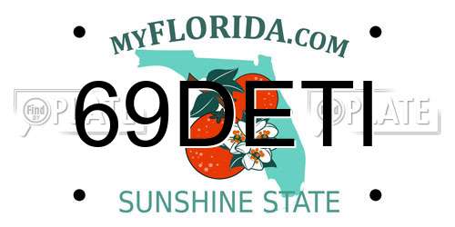 69DETI Florida License Plate