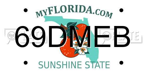 69DMEB Florida License Plate