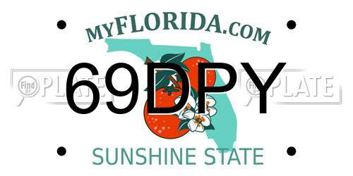 69DPY Florida License Plate
