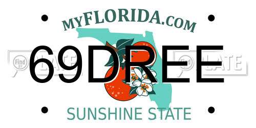 69DREE Florida License Plate