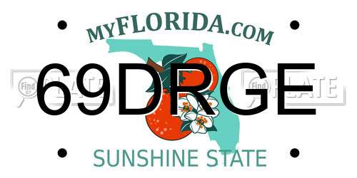 69DRGE Florida License Plate