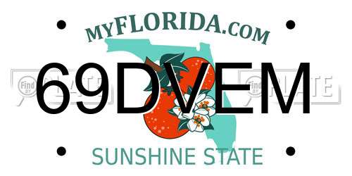 69DVEM Florida License Plate
