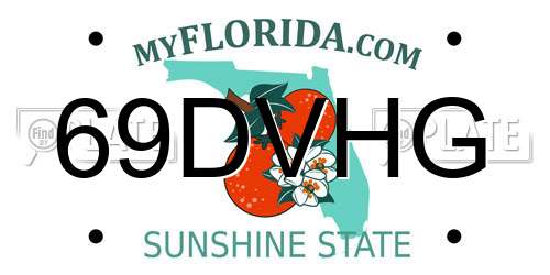 69DVHG Florida License Plate