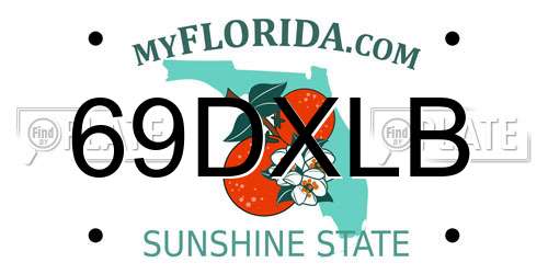 69DXLB Florida License Plate