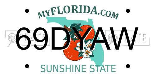 69DYAW Florida License Plate