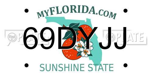 69DYJJ Florida License Plate