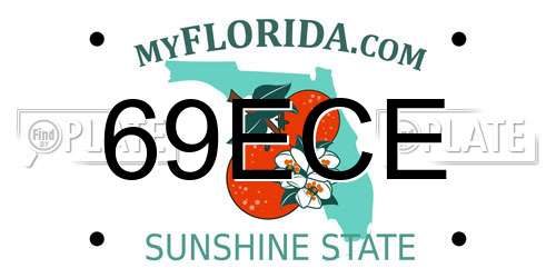 69ECE Florida License Plate