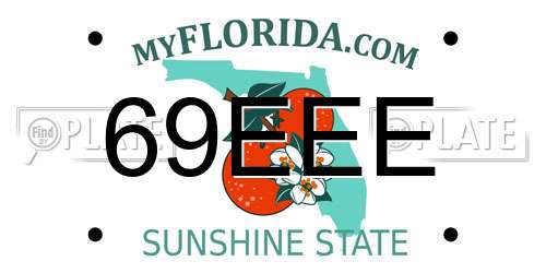 69EEE Florida License Plate