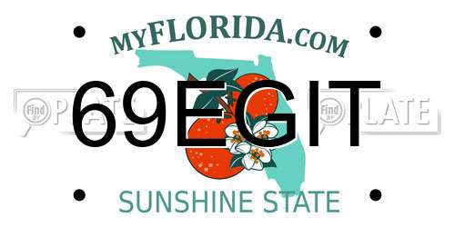 69EGIT Florida License Plate