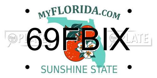 69FBIX Florida License Plate