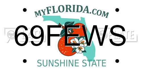 69FEWS Florida License Plate