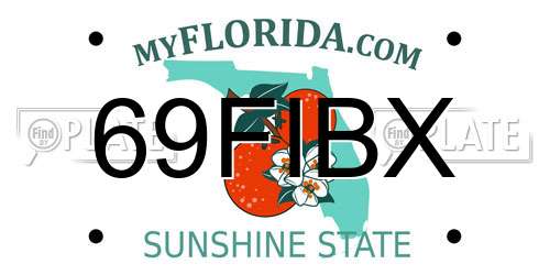 69FIBX Florida License Plate