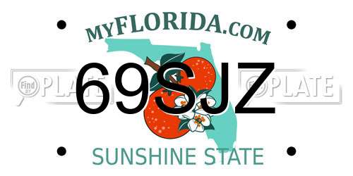69SJZ Florida License Plate