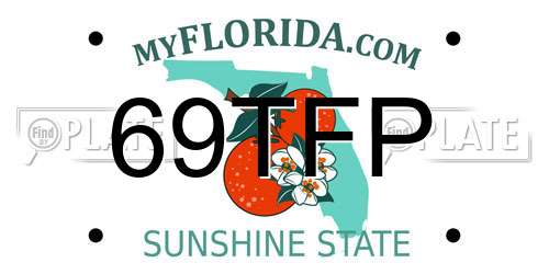 69TFP Florida License Plate