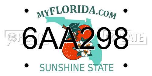 6AA298 Florida License Plate