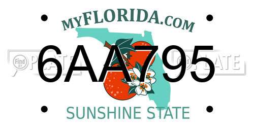 6AA795 Florida License Plate