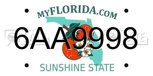 6AA9998 Florida License Plate