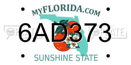 6AD373 Florida License Plate
