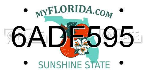 6ADF595 Florida License Plate