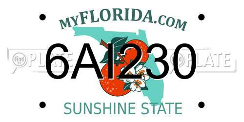 6AI230 Florida License Plate