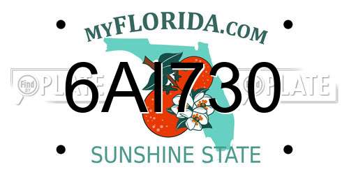 6AI730 Florida License Plate