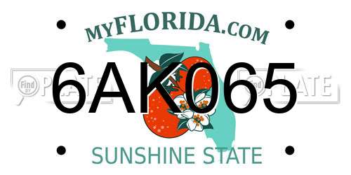 6AK065 Florida License Plate