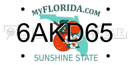 6AKD65 Florida License Plate