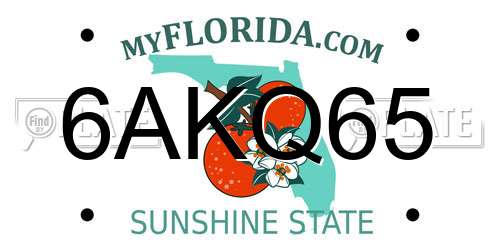 6AKQ65 Florida License Plate