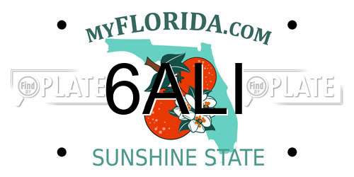 6ALI Florida License Plate