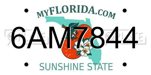 6AM7844 Florida License Plate