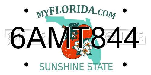 6AMT844 Florida License Plate