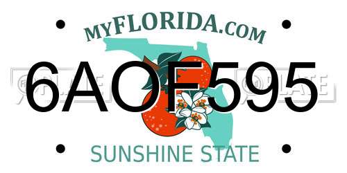 6AOF595 Florida License Plate